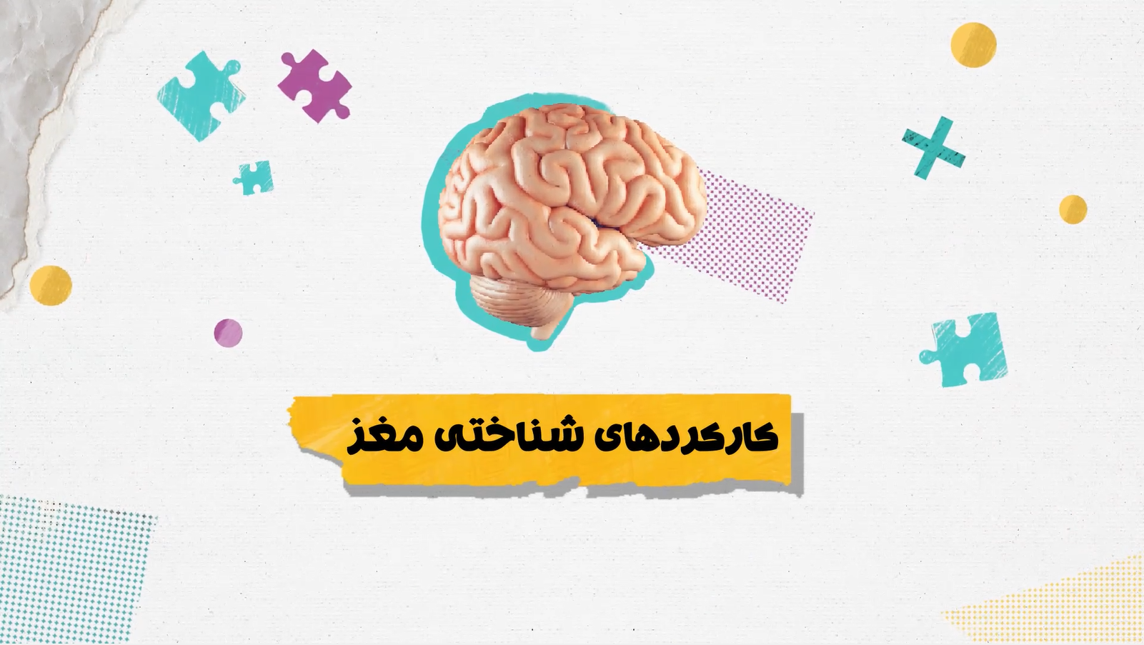 کارکردهای شناختی